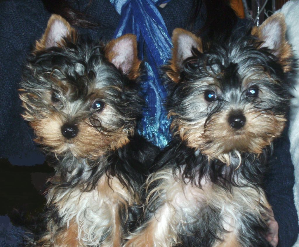 NOS 27 BEBES EN PHOTO